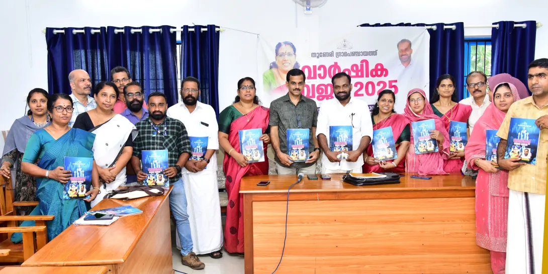 ബജറ്റ് 2025