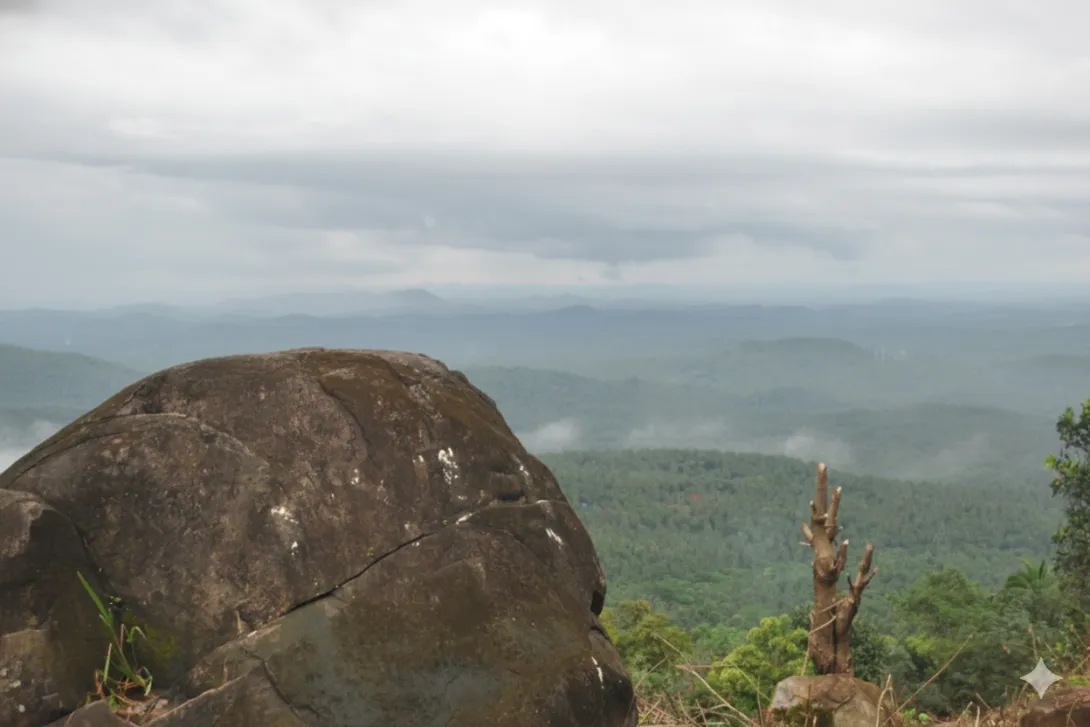 അഭയഗിരി / കണ്ടിവാതുക്കൽ