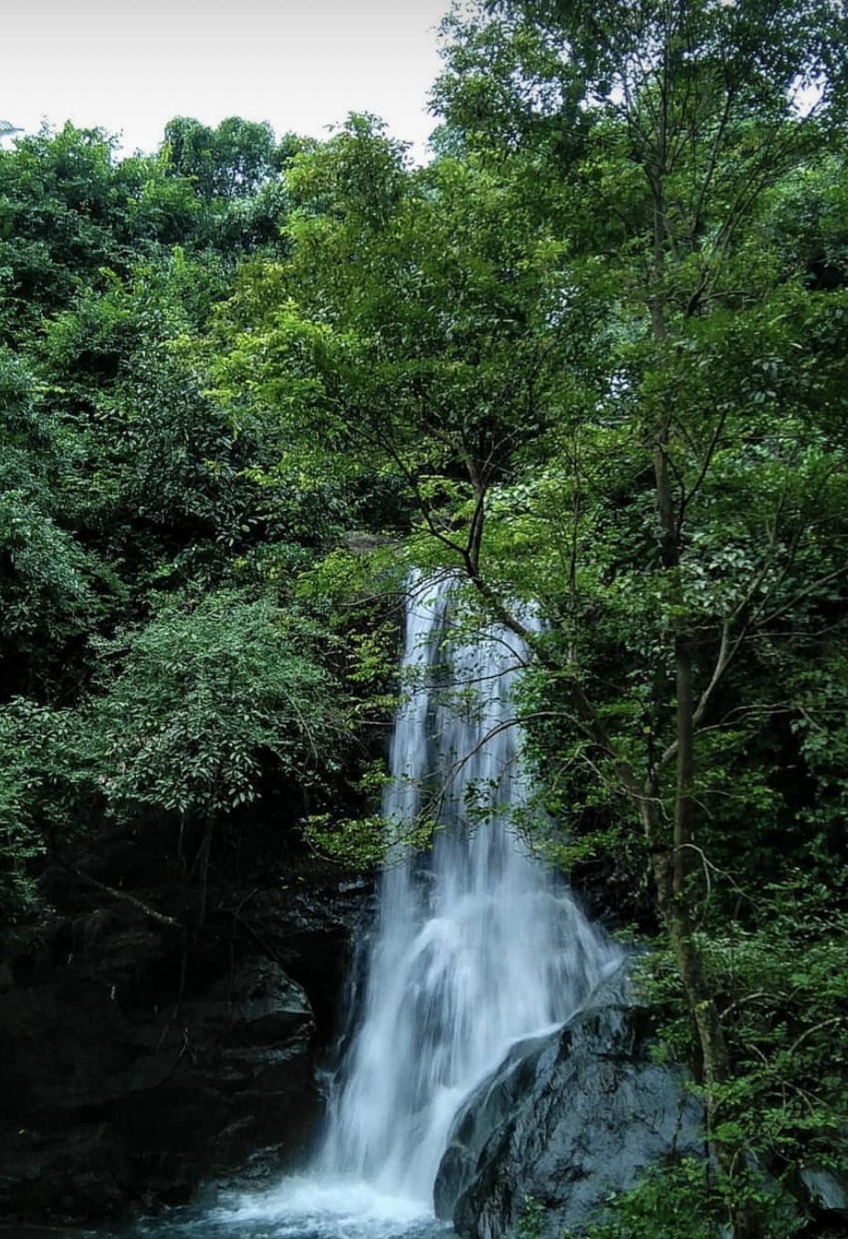 തിരികക്കയം