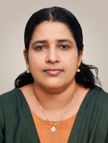 മിനി കെ