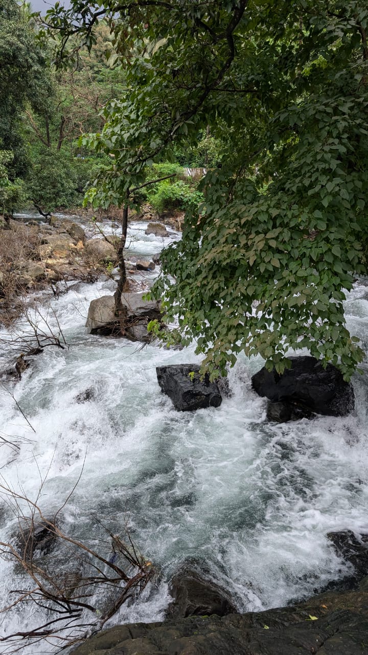 ചാപ്പൻതോട്ടം വെള്ളച്ചാട്ടം-കാവിലുംപാറ