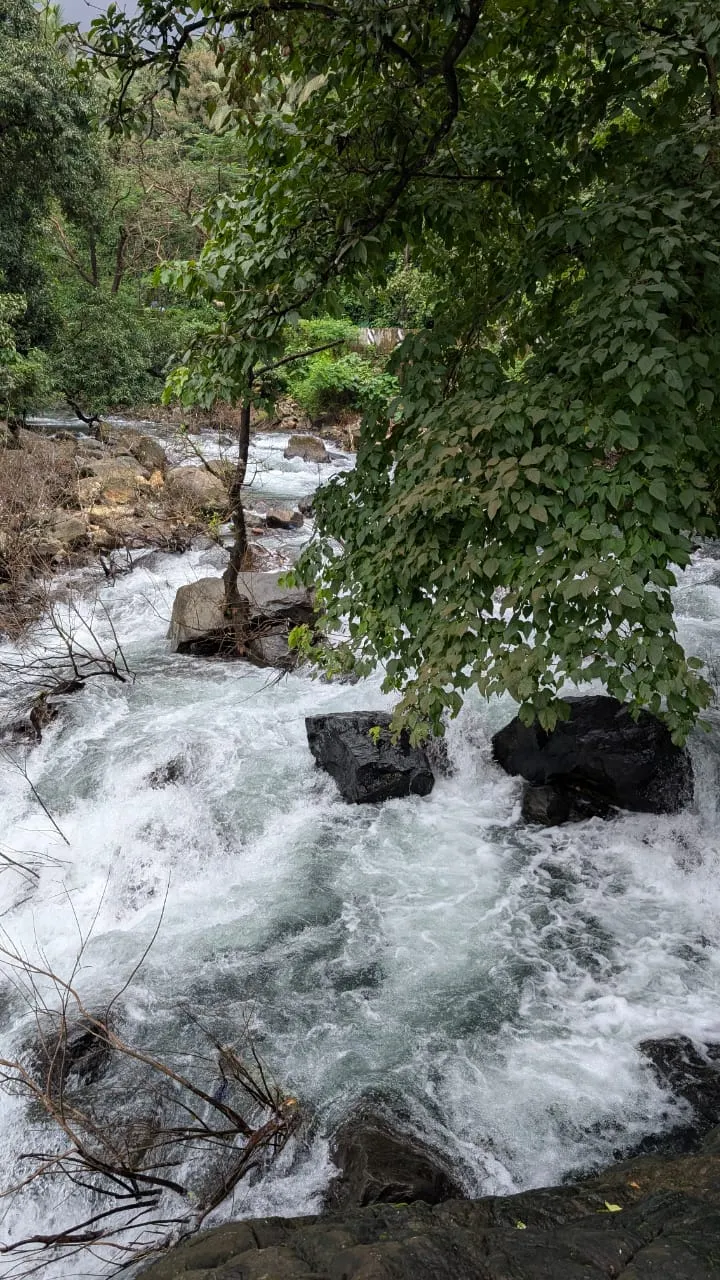 ഫോട്ടോ ഗാലറി