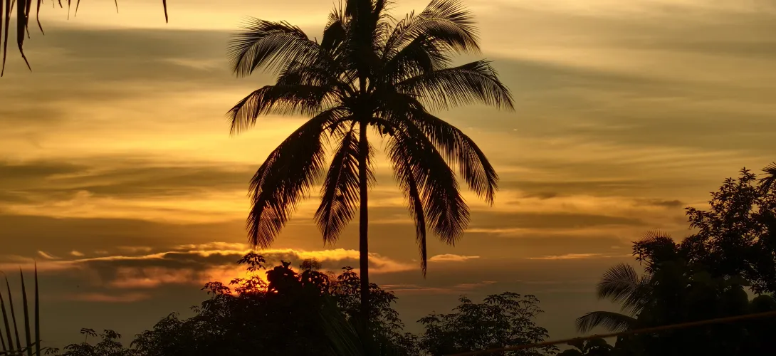 ഫോട്ടോ ഗാലറി