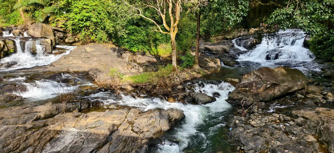 ഫോട്ടോ ഗാലറി 4