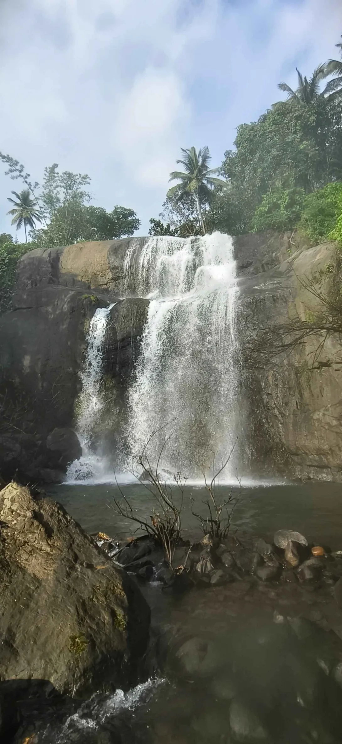 ഫോട്ടോ ഗാലറി 3