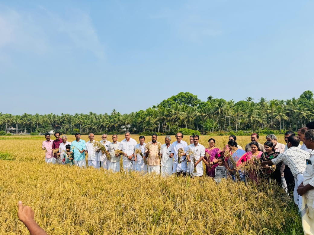 കൃഷി
