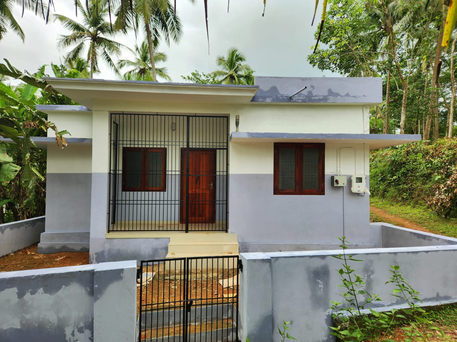 ലൈഫ്