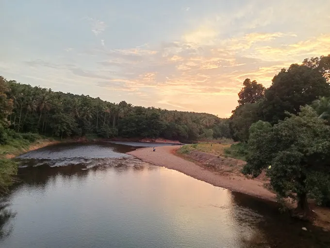 ഫോട്ടോ