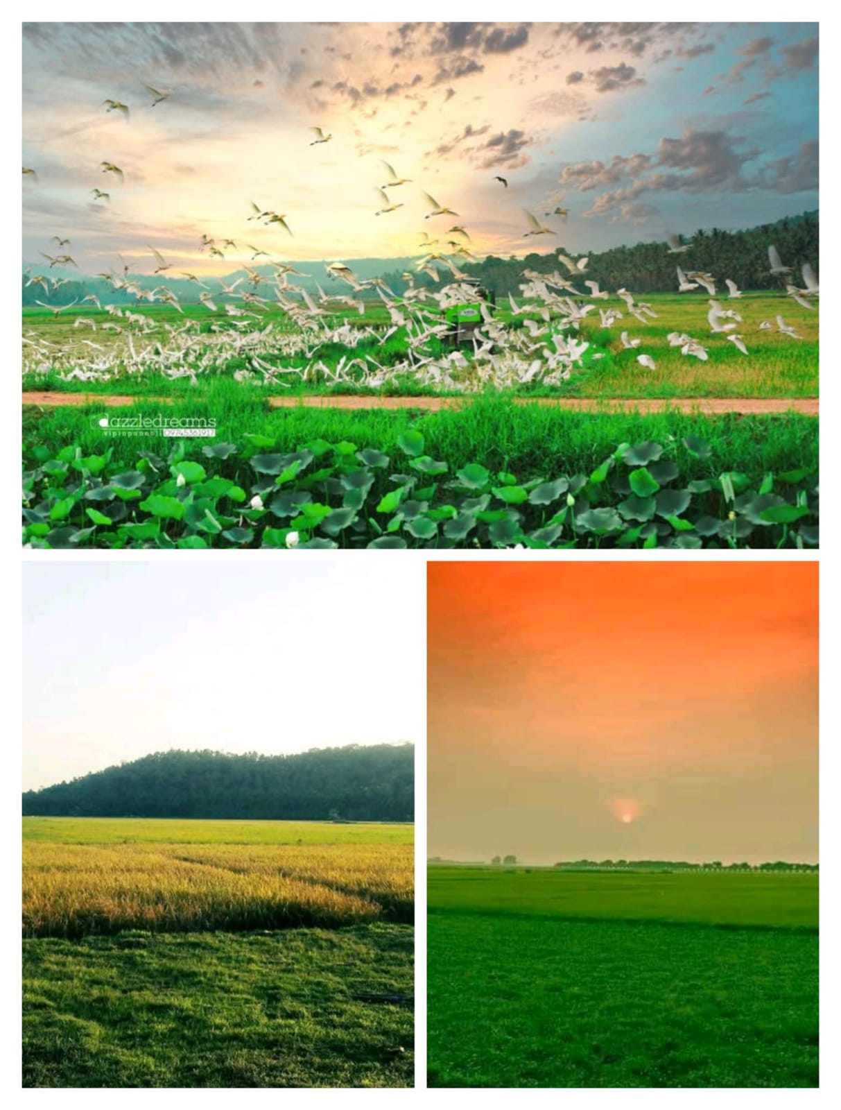 ചെരണ്ടത്തൂർ ചിറ