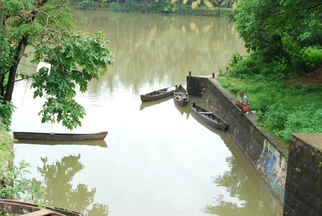 കുറ്റ്യാടിപ്പുഴ