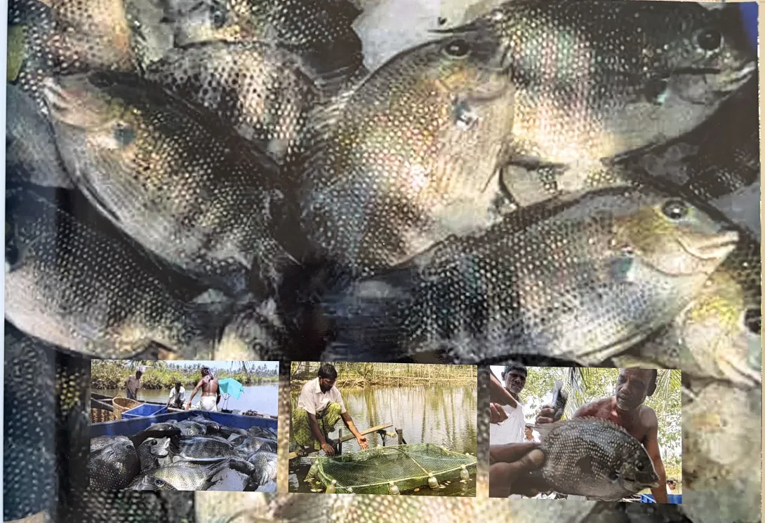 Inland Fishing 