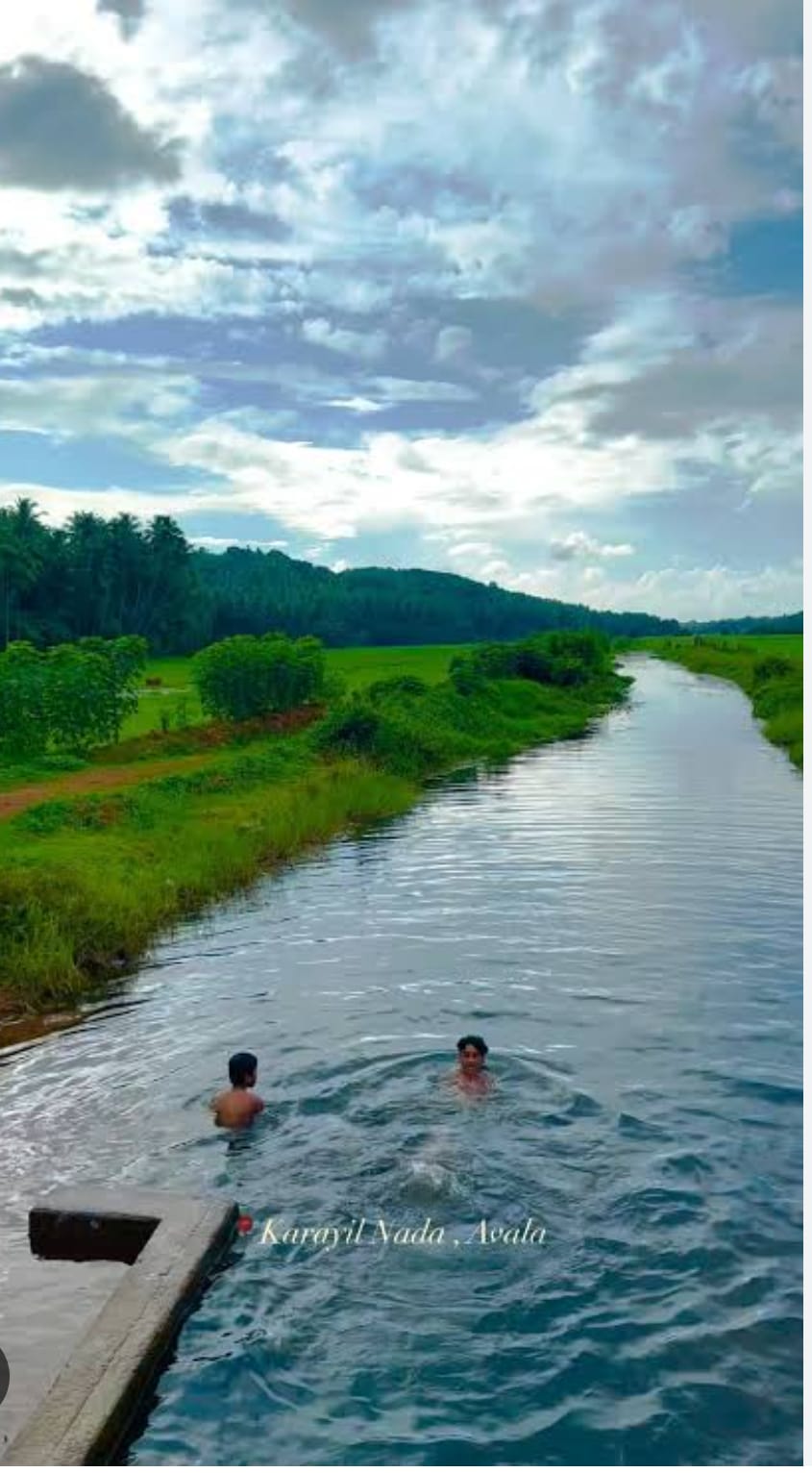 കാരയിൽ നട