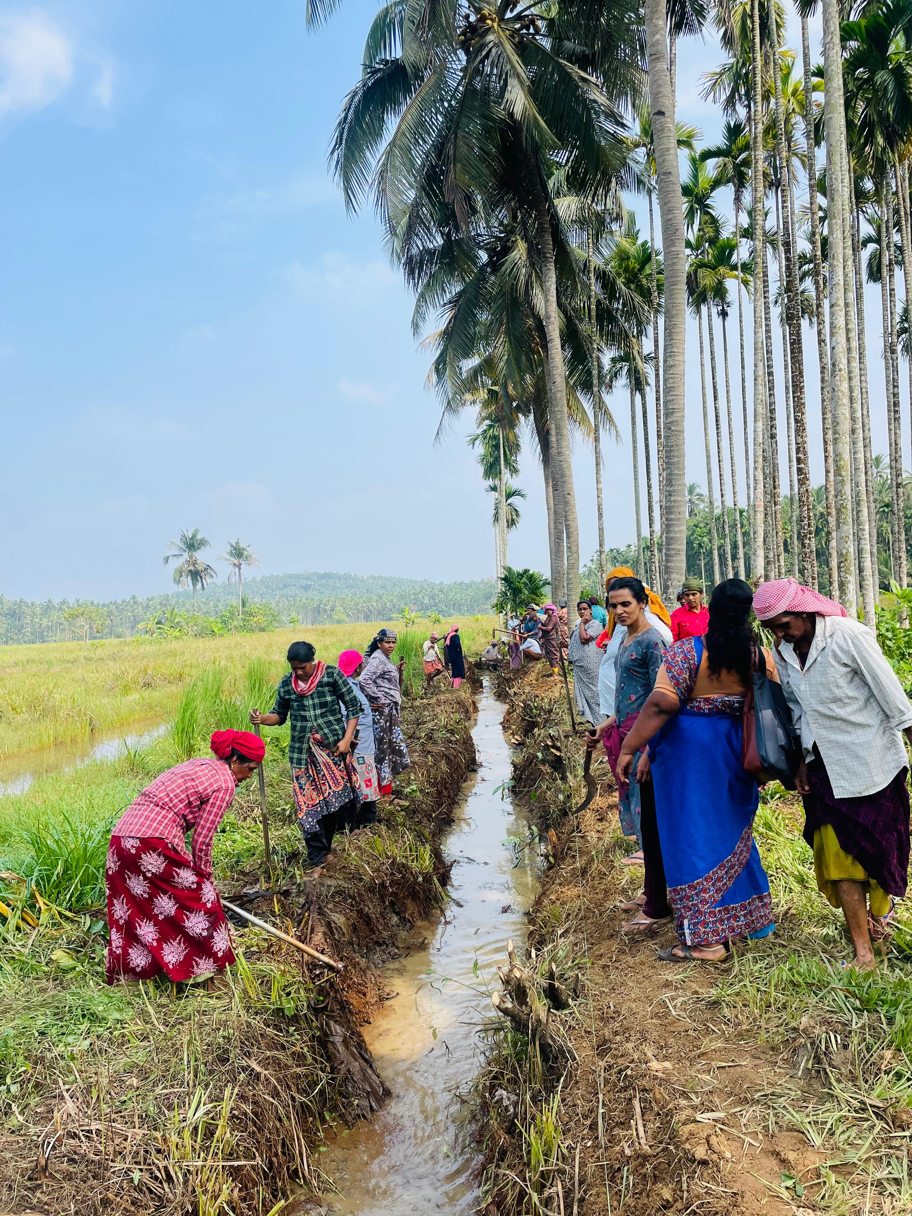 തോട് സംരക്ഷണം