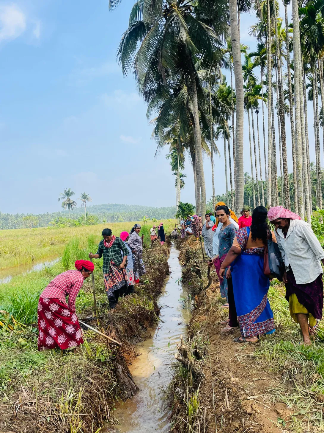 ഗ്യാലറി