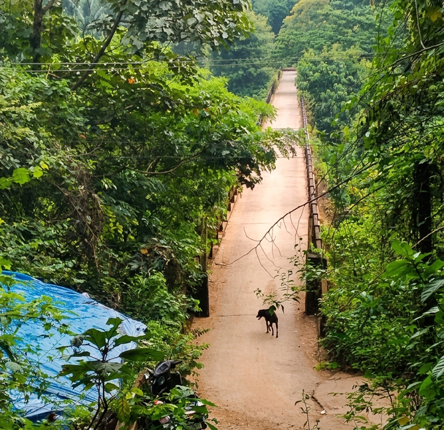 JanakiBridge