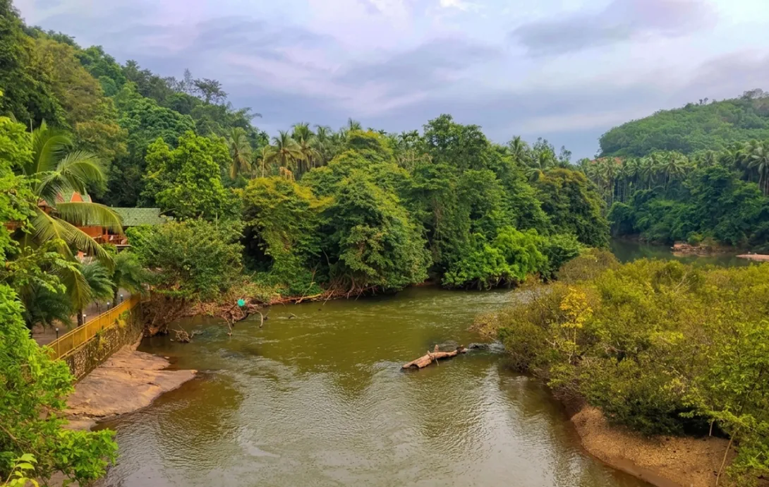 കുറ്റ്യാടി പുഴ