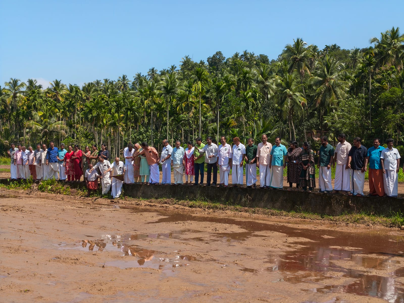 Kathiraniyum Koothali Paddy Cultivation Project