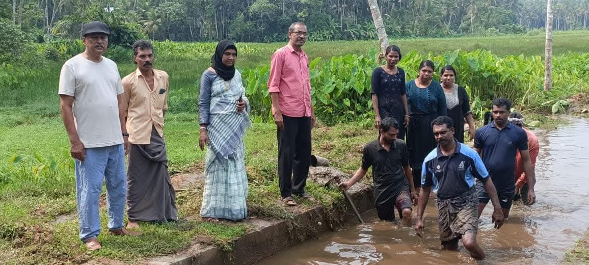 തോട് ശുചീകരണം
