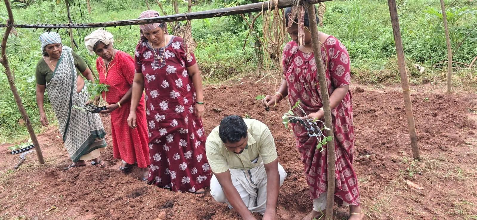 അഭിനന്ദനങ്ങൾ!