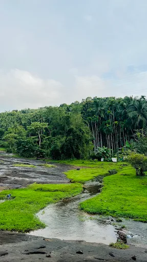 വെള്ളച്ചാട്ടം
