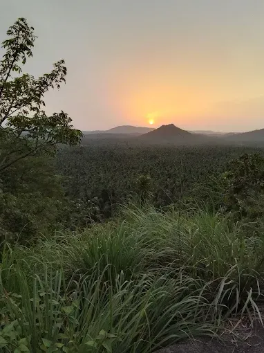 തുരുത്തുമല