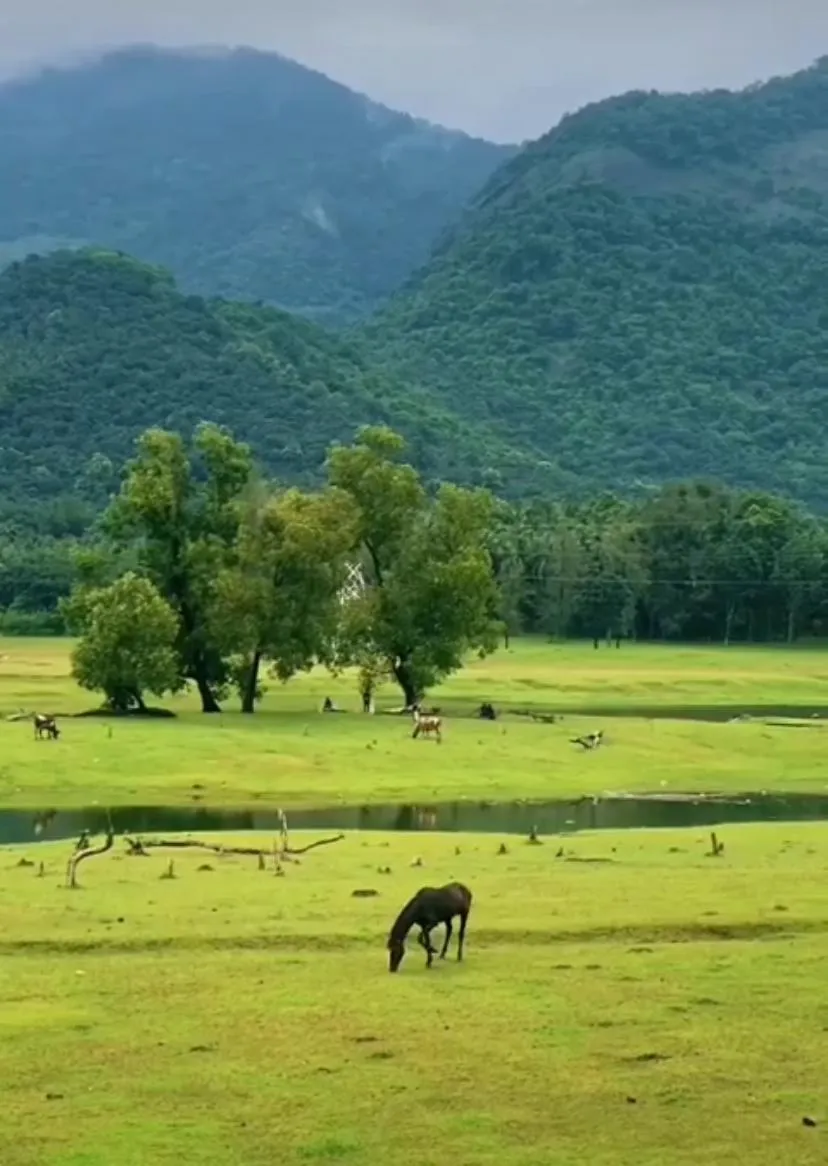 കരിയാത്തുംപാറ 