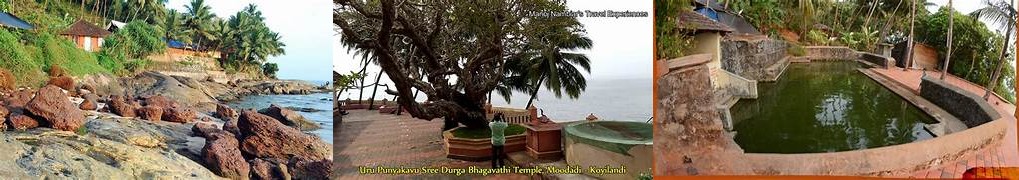 ഫോട്ടോ