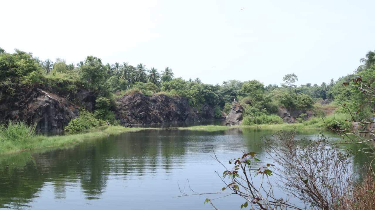 Parakulam