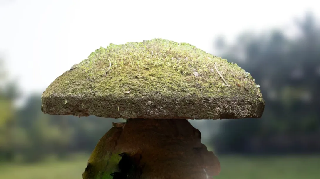കുടക്കല്ല്