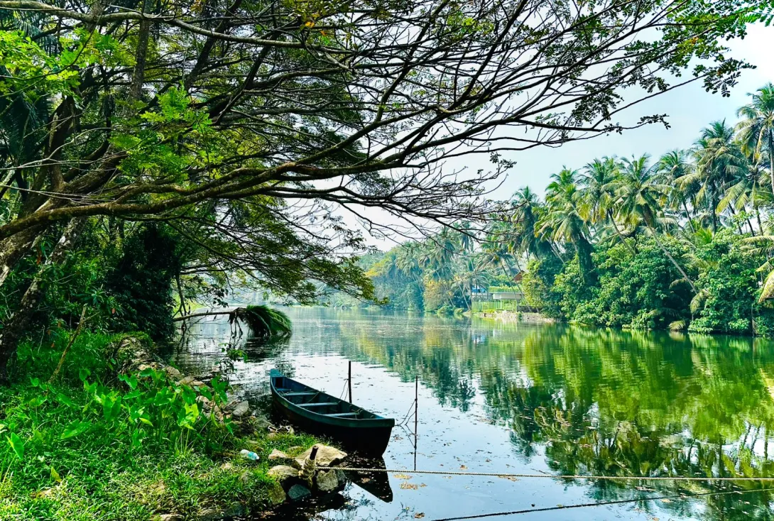 ഭംഗിയുള്ള കക്കോടി