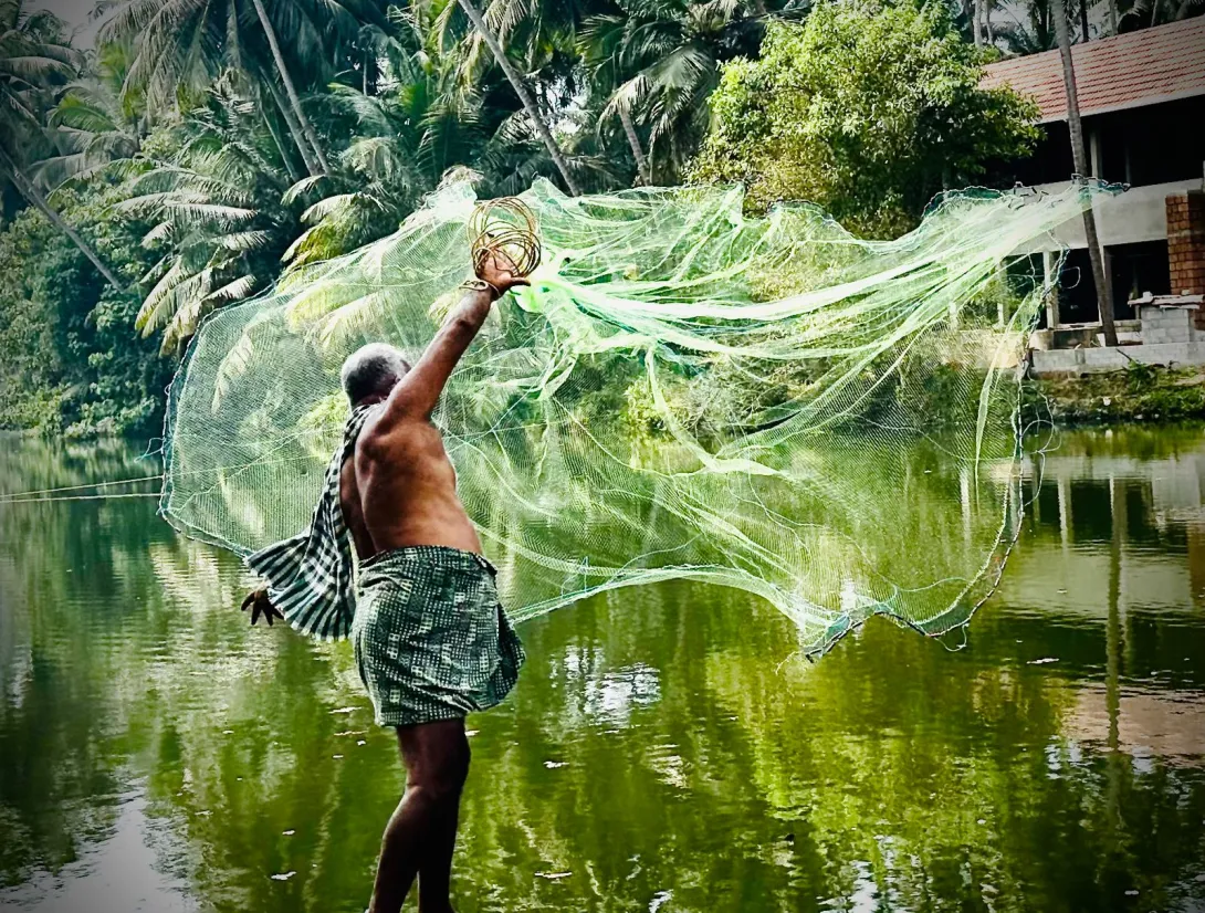 ഭംഗിയുള്ള കക്കോടി