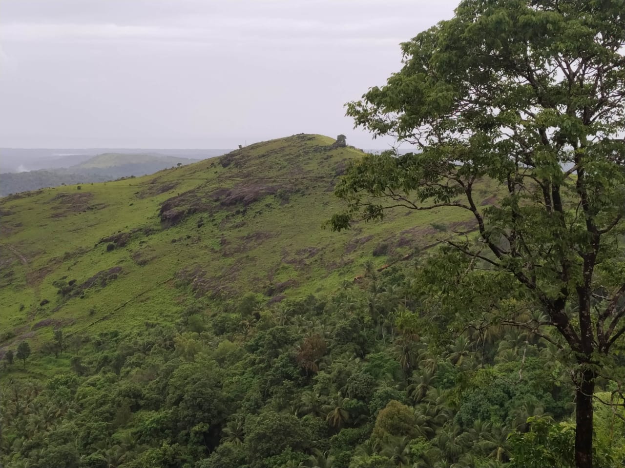 പുക്കുന്ന് മല 