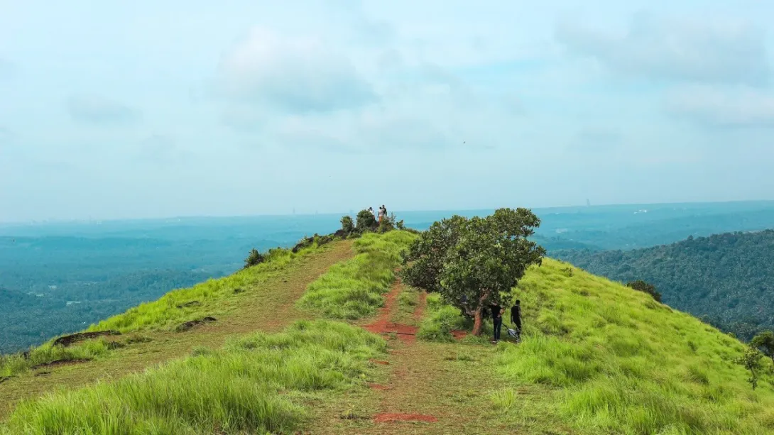 പുക്കുന്ന് 