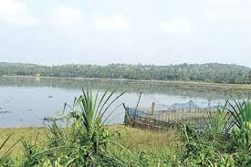 പാവയിൽ 