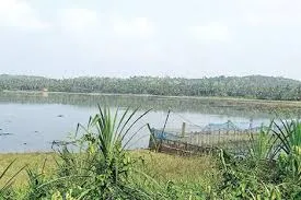 പാവയിൽ 