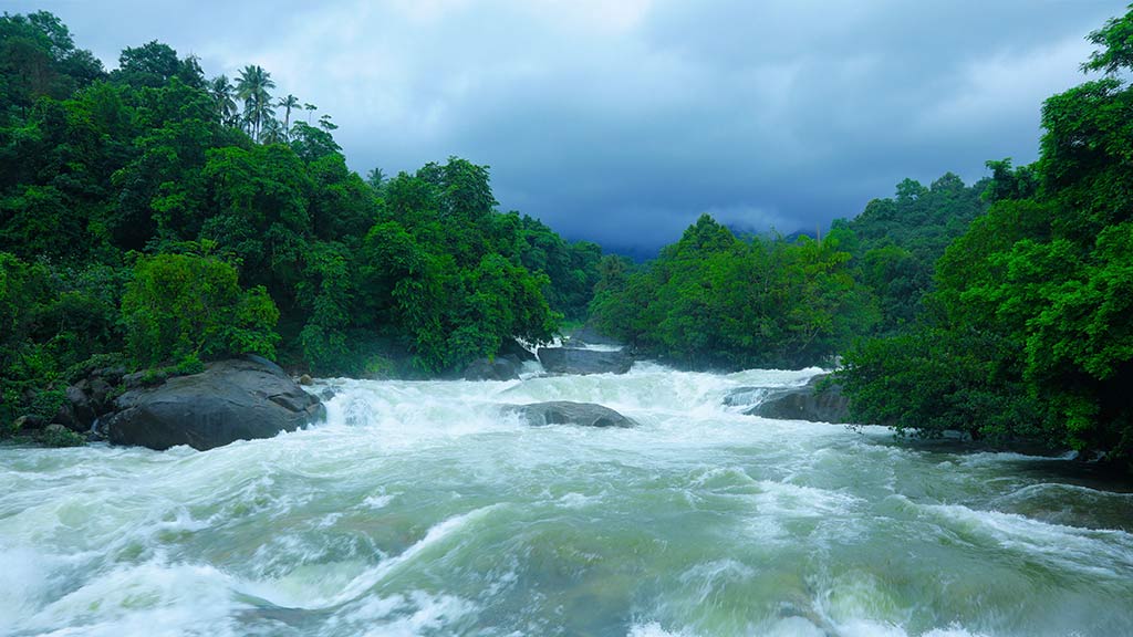 അരിപ്പാറ വെള്ളച്ചാട്ടം