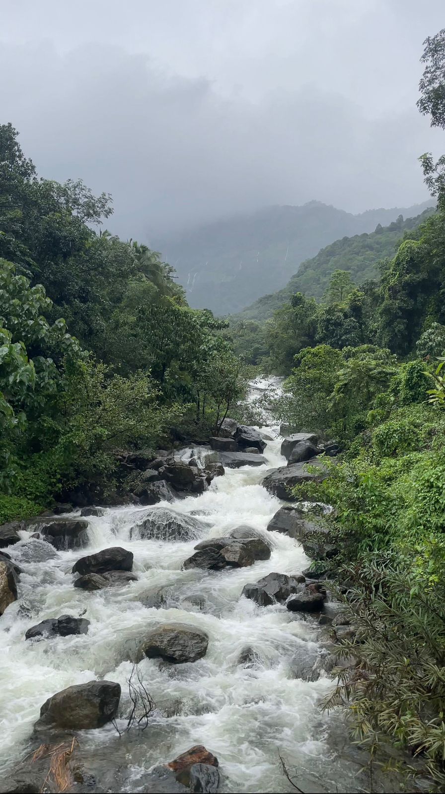 കണ്ണപ്പൻകുണ്ട് പുഴ