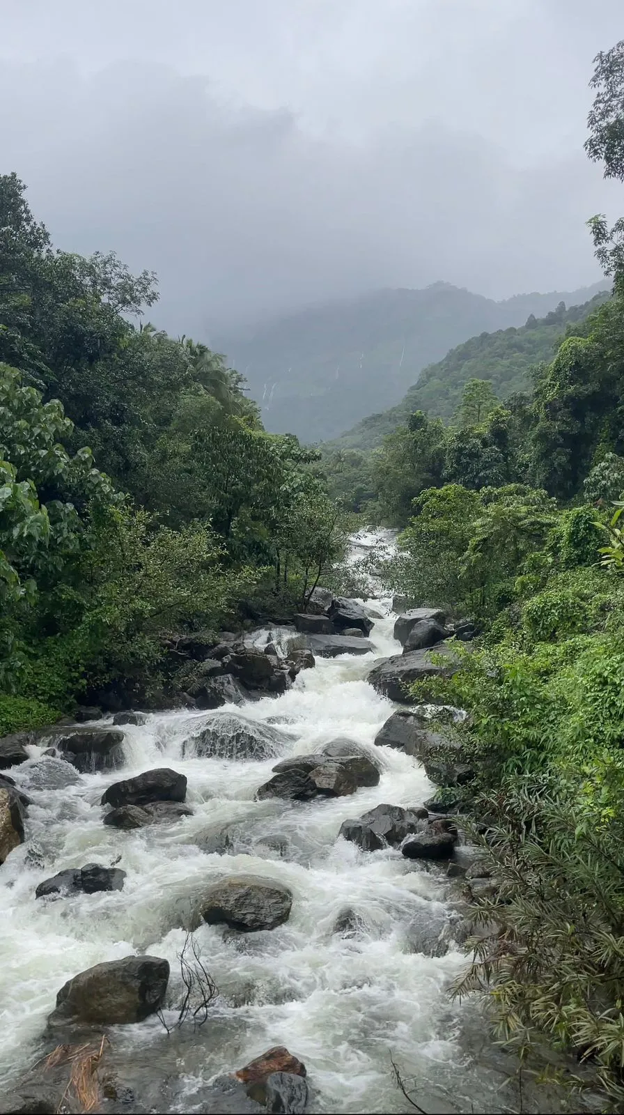 കണ്ണപ്പൻകുണ്ട് പുഴ