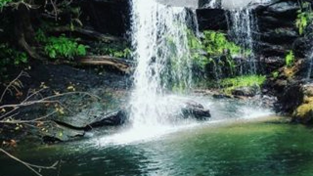 അമരാട് ചെള്ളച്ചാട്ടം