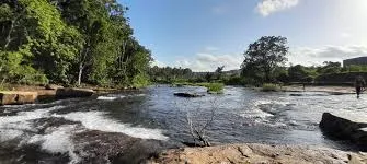 പൂനൂർ പുഴ