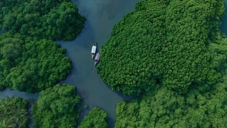 Kadalundi Mangroves