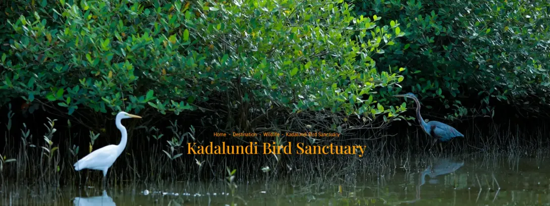 കടലുണ്ടി പക്ഷി സങ്കേതം