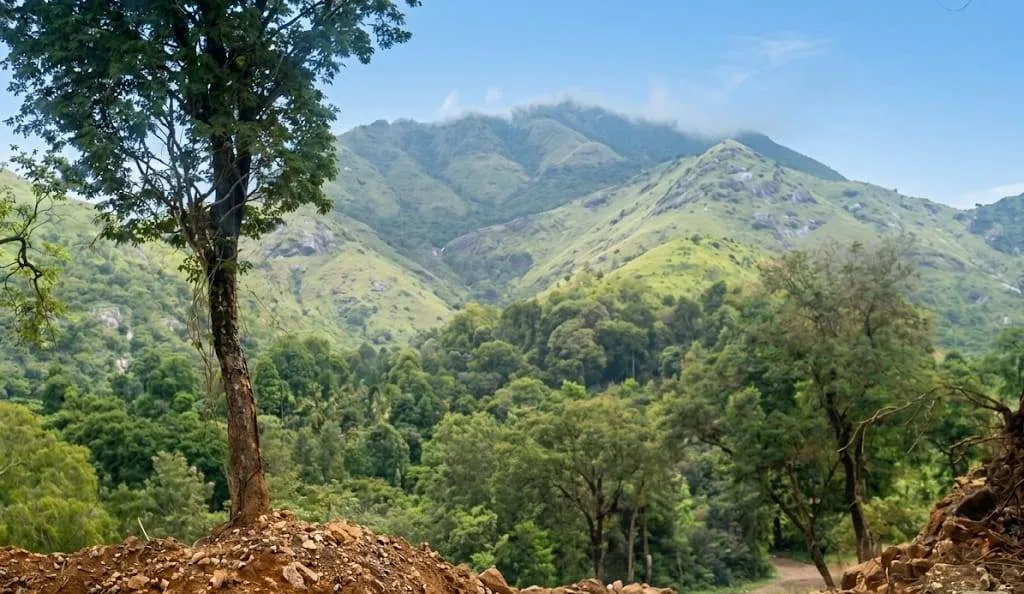 Banasura Hill