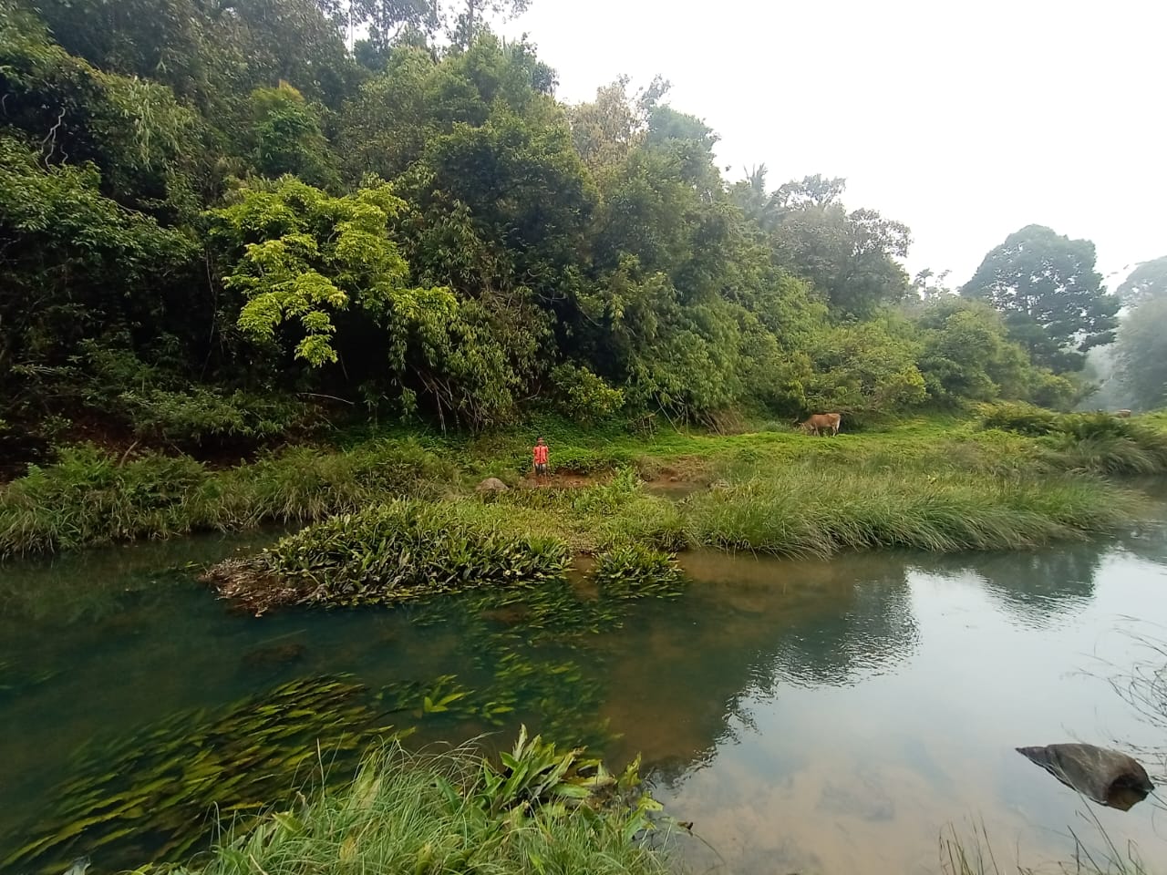 koodam river