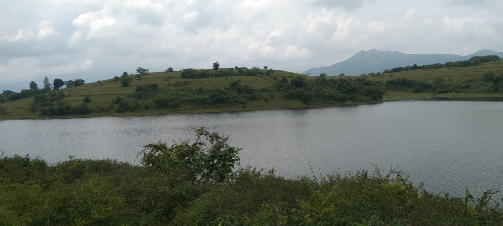 Nellarachal View Point