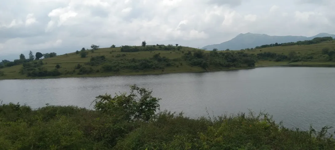 നെല്ലാറച്ചാല്‍ വ്യൂ പോയിന്‍റ്