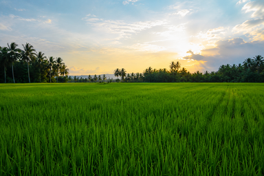 ഭൂമിശാസ്ത്രം.