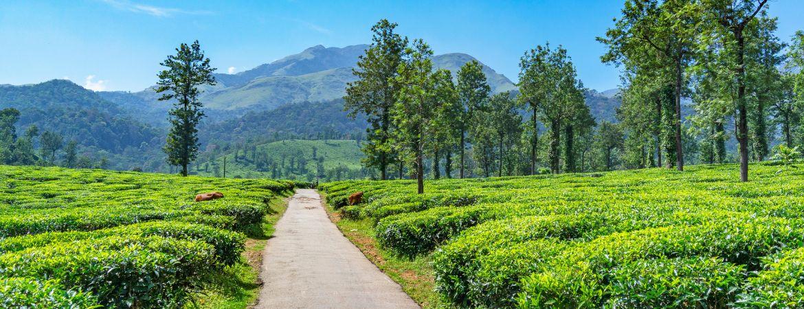 ഭൂമിശാസ്ത്രം