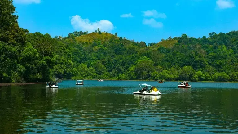 പൂക്കോട് തടാകം 