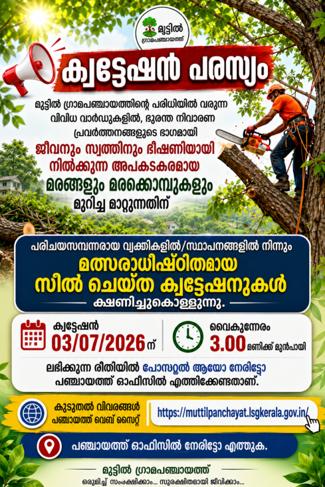 മരം മുറിക്കൽ